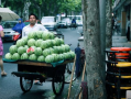 为何老人路边吃瓜,探寻老人路边吃瓜背后的温馨故事