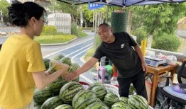 园区吃瓜,吃瓜群众的夏日狂欢记