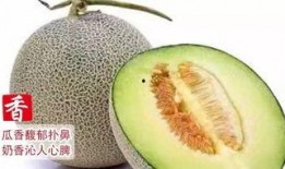 糖人吃网纹蜜瓜,网纹蜜瓜的甜蜜诱惑