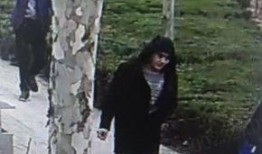 林州吃瓜事件视频,一场引发热议的网络风波