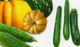 吃瓜的小塔,网络红人的崛起与影响力