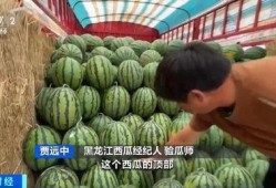 吃瓜特效同款,网红神器背后的秘密