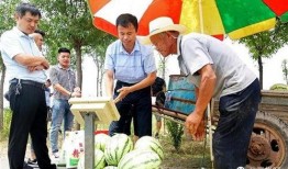 雄县最新吃瓜事件,真相揭秘引网友热议