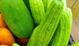 吃瓜体质,揭秘网络时代下的围观文化现象