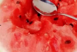 中午吃瓜了吗,你吃瓜了吗？