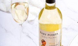 吃瓜气泡酒,尽享吃瓜气泡酒的清新魅力