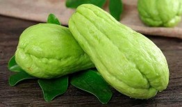 twitt吃瓜,揭秘twitt吃瓜背后的娱乐真相