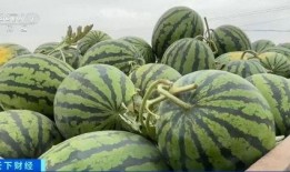 吃瓜特效同款,网红神器背后的秘密