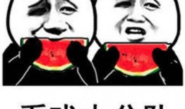 那些吃瓜表情包,揭秘网络时代的幽默密码