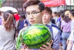 吃瓜学费,校园里的另类经济现象