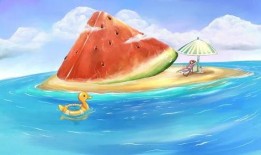 吃瓜群众魔术贴,神奇魔力背后的秘密