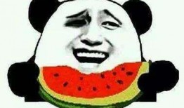 乐陵吃瓜群众事件始末,一场网络舆论的风波与反思