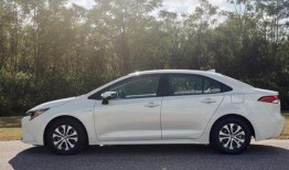 丰田卡罗拉吃瓜