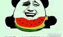 吃瓜群众susu啊,揭秘娱乐圈幕后故事