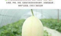 台州近期吃瓜,近期热点事件大盘点