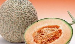 孕27周可以吃哈密瓜么,孕27周适宜食用哈密瓜