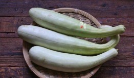 吃二斤瓜,二斤瓜果尽享清凉时光