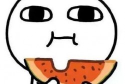 龙城吃瓜完整后续,揭秘真相，揭开神秘面纱