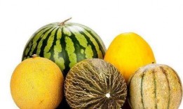 吃雷瓜有那些好处,揭秘吃雷瓜的五大益处