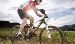 骑行国产吃瓜在线,吃瓜群众眼中的时尚与实力并重