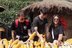 沂源最新吃瓜事件新闻,揭秘网络热议背后的真相