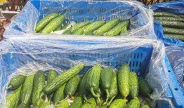 微山商场吃瓜视频,揭秘日常生活中的趣味瞬间