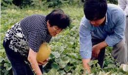 牧院英才吃瓜,揭秘校园里的那些“瓜”