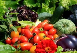 牧院英才吃瓜,揭秘校园里的那些“瓜”