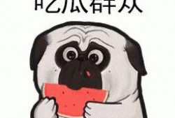 带你吃瓜符号,带你领略“带你吃瓜”符号的独特魅力