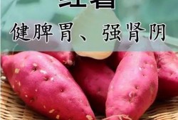 吃完佛手瓜可以吃红薯吗,同餐可否相宜？