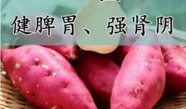 吃完佛手瓜可以吃红薯吗,同餐可否相宜？