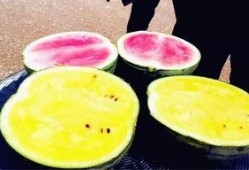 吃瓜爆料壁纸,壁纸背后的故事与真相