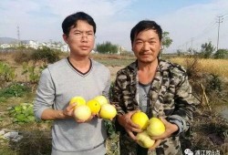 吃瓜群众大鹏,吃瓜群众的娱乐盛宴