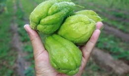 温眸吃瓜,揭秘娱乐圈背后的那些事儿