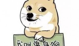 带你吃瓜逛街,畅游美食瓜街之旅