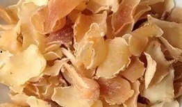 湖州吃瓜,品味当地特色，畅享清凉时光