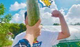 怎样看待吃瓜群,社交时代的娱乐与反思