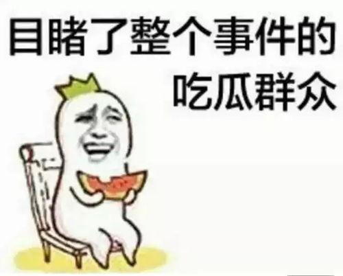张老板吃瓜群众,吃瓜群众的智慧与趣味