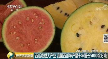 吃瓜群众一口一个大西瓜