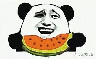 内蒙古吃瓜的群众,内蒙古吃瓜群众视角下的草原生活
