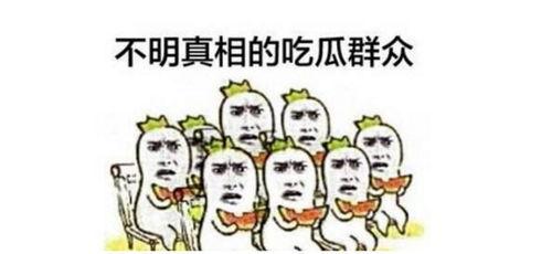 吃瓜群众专用视频大全,笑料百出，欢乐无限