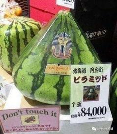 全网最火吃瓜群众,揭秘娱乐圈幕后风云
