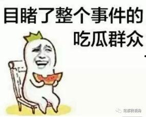 吃瓜群众头像社会,揭秘网络社交背后的众生相
