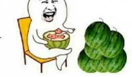 快乐吃瓜341,一场别开生面的网络狂欢盛宴