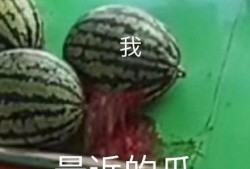 什么叫全民吃瓜,揭秘网络时代的全民娱乐现象