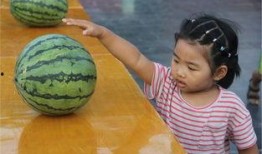 夏天吃瓜大战,一场清凉的吃瓜大战