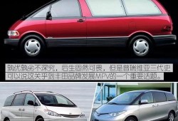 吃瓜大霸王,瓜界风云人物深度解析