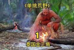 德爷吃野瓜,野瓜盛宴，揭秘自然界的神秘美味