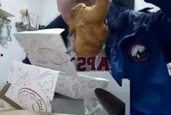 大表哥视频吃瓜