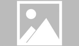 新西兰whv吃瓜,吃瓜群众的海外体验记